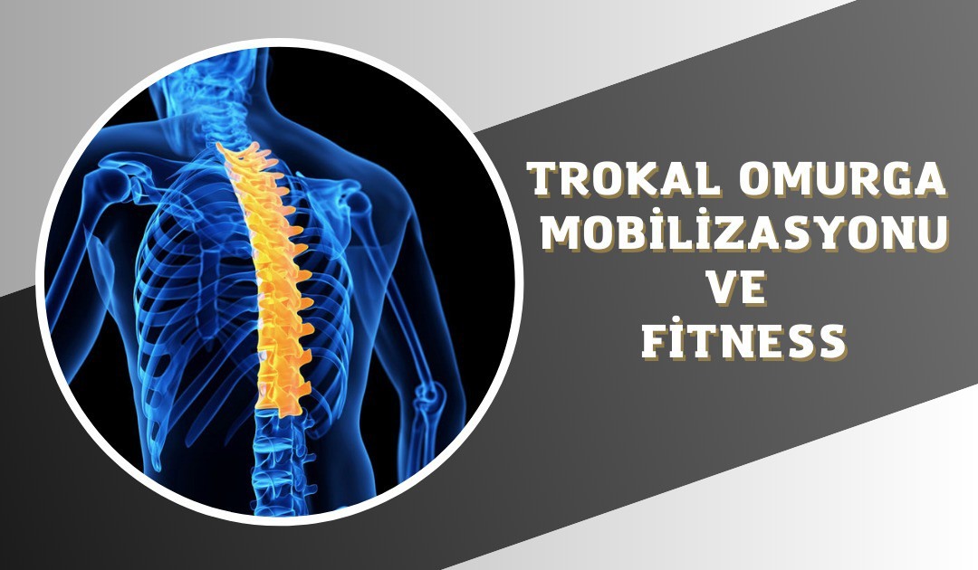 TROKAL OMURGA MOBİLİZASYONU VE FITNESS